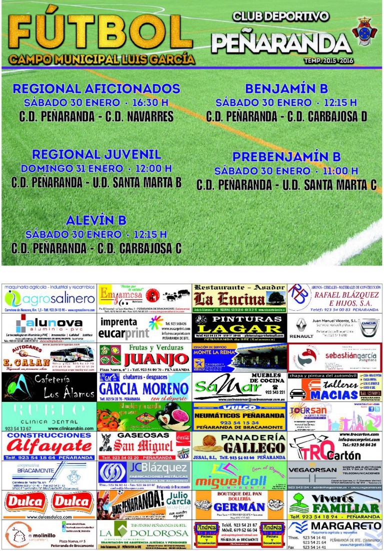 CD-PeNaranda-Cartel Partidos20160130